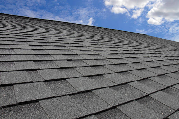 Best Roof Leak Repair  in Eagle Lake, MN