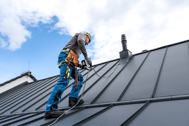 Best Roof Maintenance and Cleaning  in Eagle Lake, MN